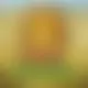 Zagraj Mega Moolah z Games Global w {"id":55,"name":"Megapari","design":{"logo":"megapari-logo.i9Feh0.svg","favicon":"megapari-favicon.0LY3mi.png","banner_poker":"megapari-poker-LVqdGp.webp","banner_mobile":"megapari-mobile-wI2bRh.webp","block_bg_color":"#777777","image_bg_color":"#3f3f46","banner_bg_color":"#777777","block_text_color":"#ffffff","primary_bg_color":"#d4d4d8","banner_text_color":"#fff","footer_logos_type":"black","block_round_radius":"0.5rem","primary_text_color":"#030712","button_round_radius":"0.25rem","banner_welcome_bonus":"megapari-welcome-bonus-hwu7t8.webp","primary_button_bg_color":"#E6362D","primary_button_text_color":"#fff","secondary_button_bg_color":"#474747","secondary_button_text_color":"#fff"},"created_at":"2025-05-14T09:25:22.000000Z","updated_at":"2025-05-14T09:25:22.000000Z","deleted_at":null}
