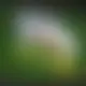 Zagraj Let It Ride z Playtech w {"id":55,"name":"Megapari","design":{"logo":"megapari-logo.i9Feh0.svg","favicon":"megapari-favicon.0LY3mi.png","banner_poker":"megapari-poker-LVqdGp.webp","banner_mobile":"megapari-mobile-wI2bRh.webp","block_bg_color":"#777777","image_bg_color":"#3f3f46","banner_bg_color":"#777777","block_text_color":"#ffffff","primary_bg_color":"#d4d4d8","banner_text_color":"#fff","footer_logos_type":"black","block_round_radius":"0.5rem","primary_text_color":"#030712","button_round_radius":"0.25rem","banner_welcome_bonus":"megapari-welcome-bonus-hwu7t8.webp","primary_button_bg_color":"#E6362D","primary_button_text_color":"#fff","secondary_button_bg_color":"#474747","secondary_button_text_color":"#fff"},"created_at":"2025-05-14T09:25:22.000000Z","updated_at":"2025-05-14T09:25:22.000000Z","deleted_at":null}